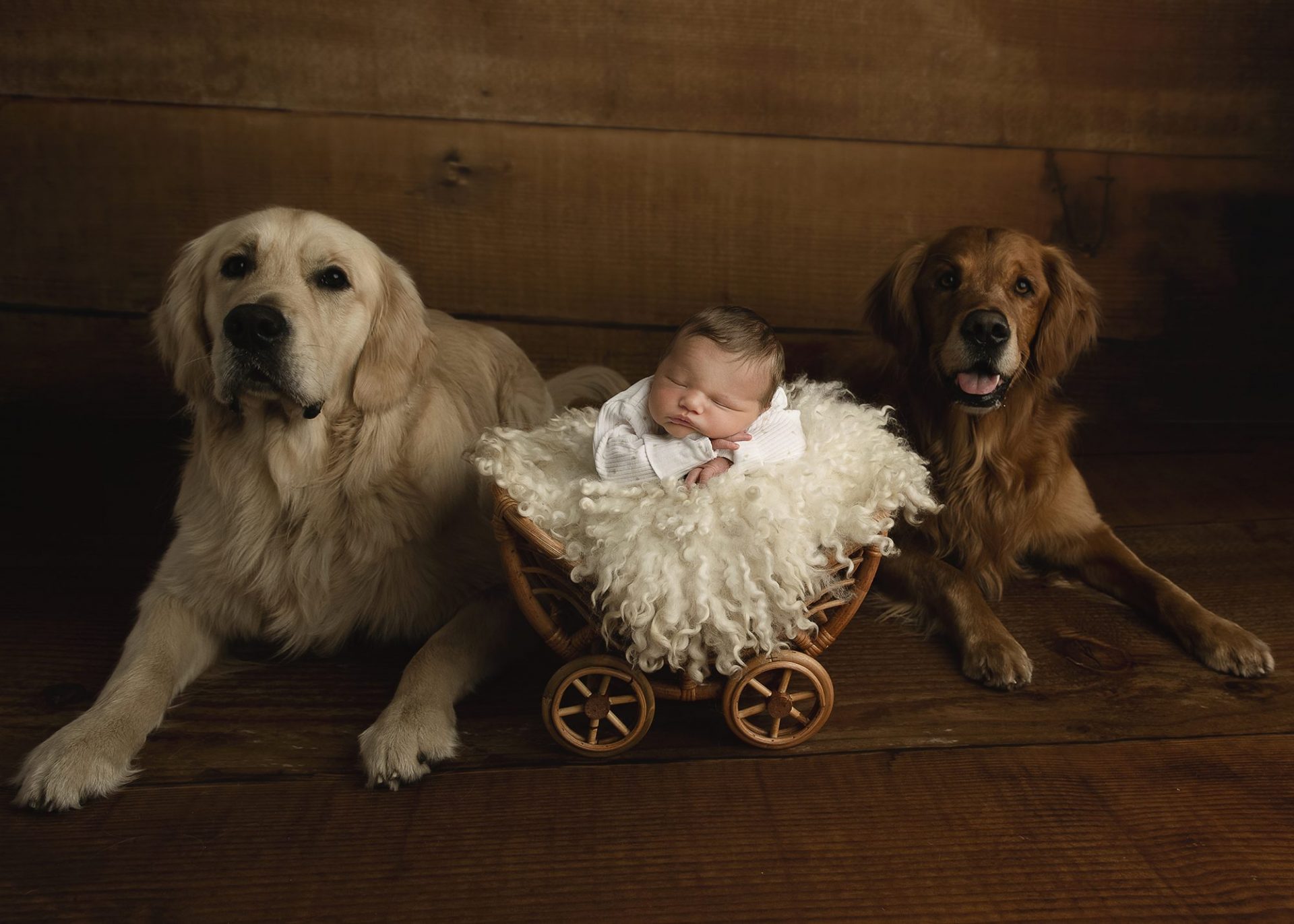 newborn photographer Perth